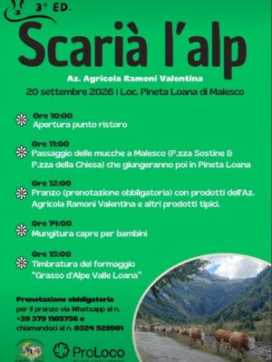 ID452_2026