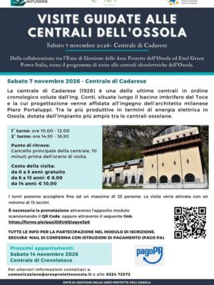 ID1085_2026